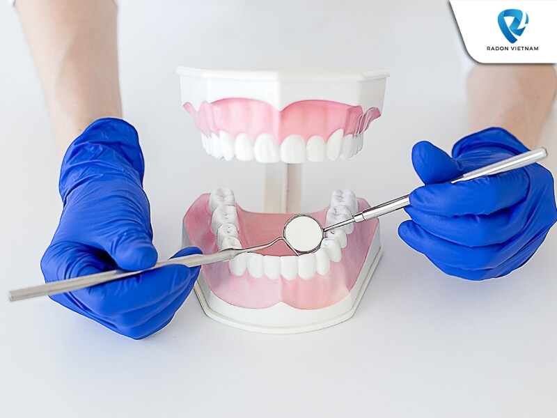 Đi khám răng định kỳ sẽ giúp bạn ngăn ngừa và phòng tránh các bệnh lý nha khoa phổ biến (Nguồn ảnh: Sưu tầm)