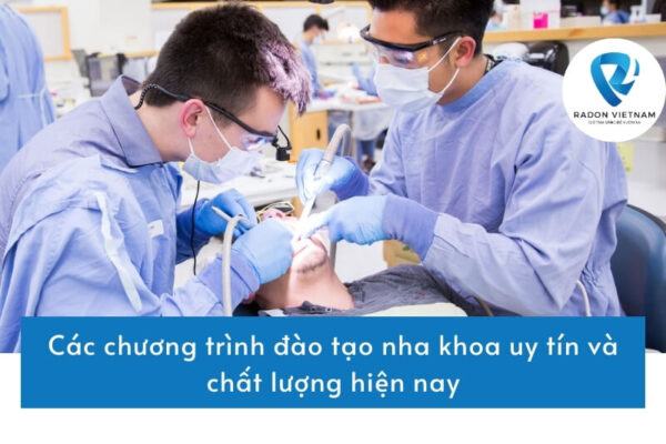 Các chương trình đào tạo nha khoa uy tín và chất lượng hiện nay
