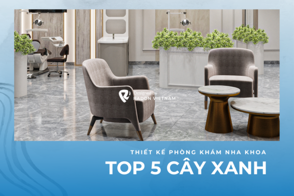 Top 5 Cây Xanh Cần Có Trong Thiết Kế Phòng Khám Nha Khoa